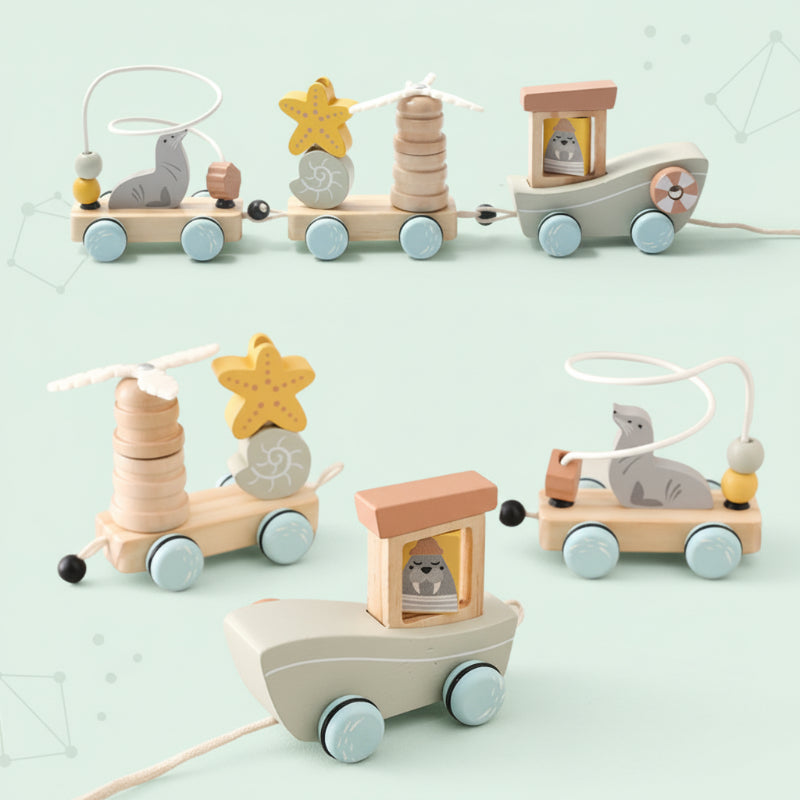 Color Spring – Playing & Developing – Sensory Wooden Baby Toys