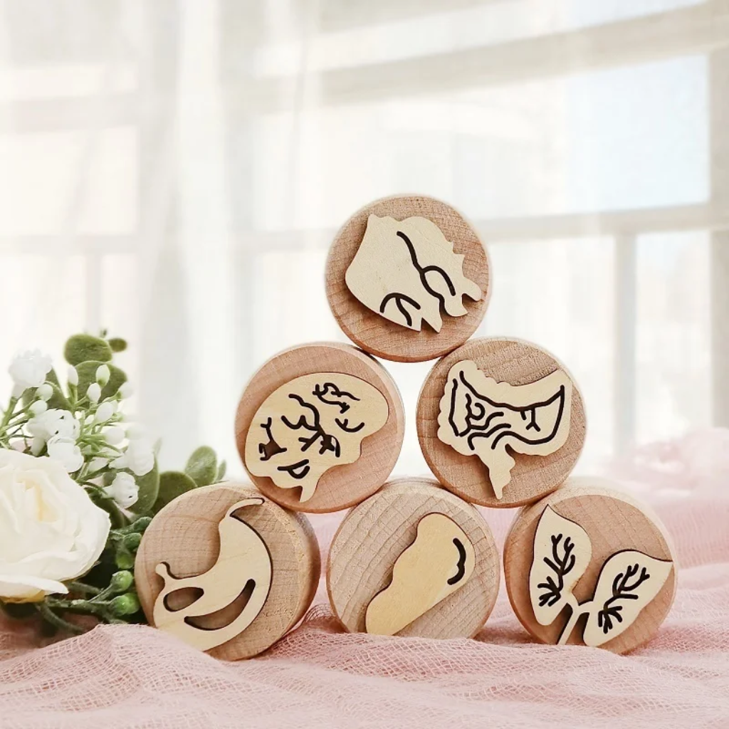 WoodStamp – Montessori & Creative – Set of 6 Wooden Clay Stamps