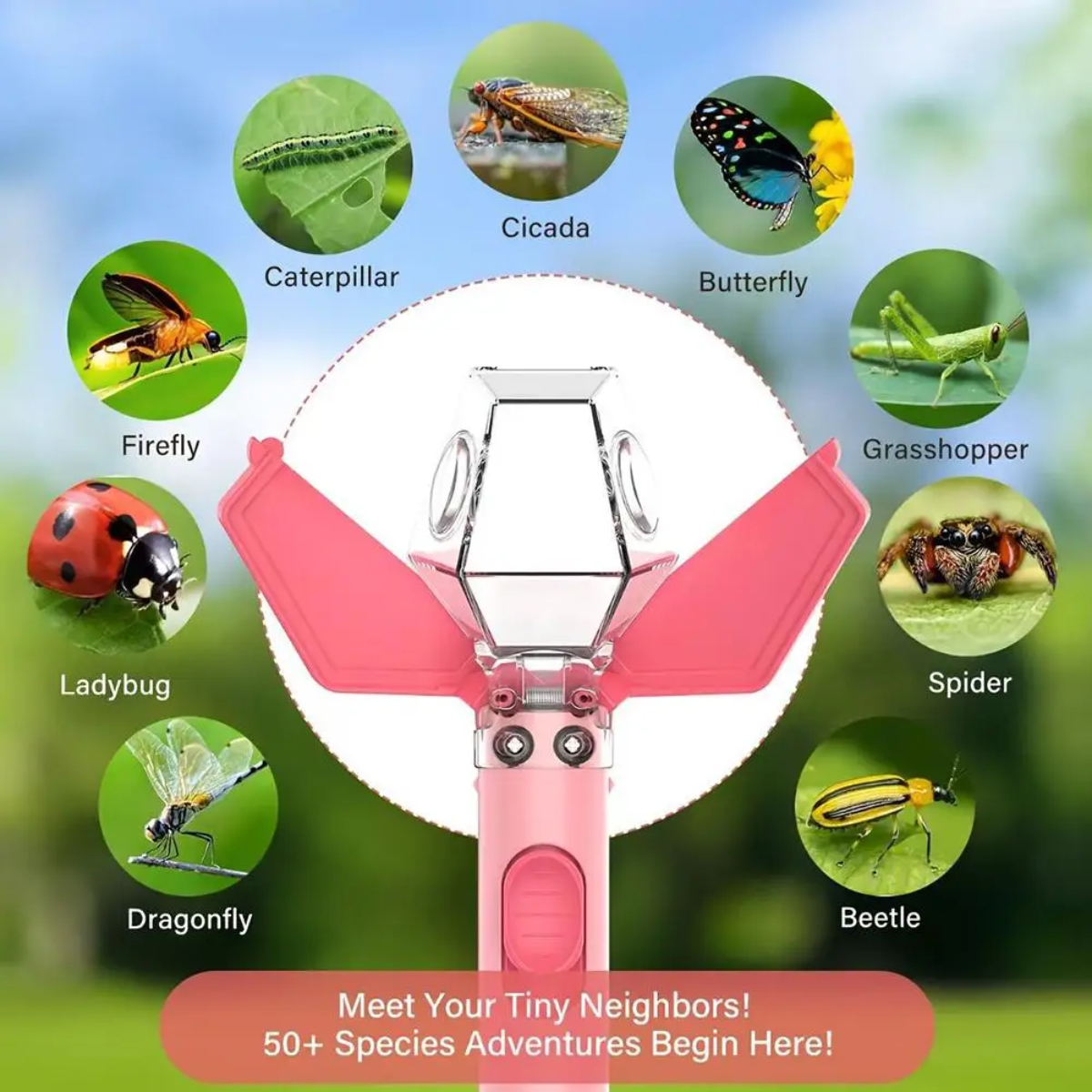 BugMaster – Educational & Fun – Multifunctional Insect Catcher