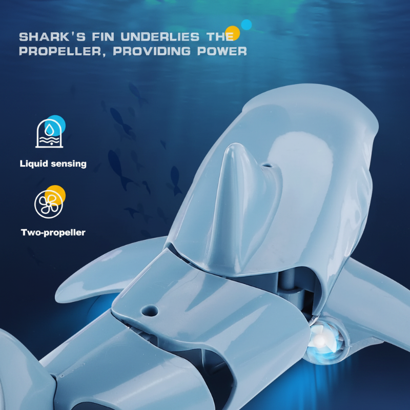 SeaBuddy – Creative & Active – RC Haai