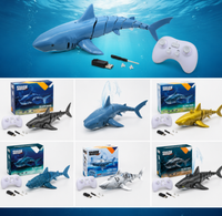 Thumbnail for SeaBuddy – Creative & Active – RC Haai