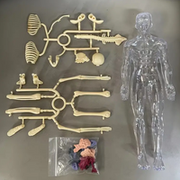 Thumbnail for Human Anatomy – Learning & Discovery - Human Body Model Kit