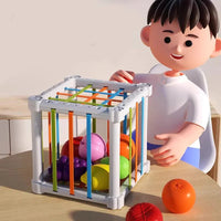 Thumbnail for Fruit Box™ - Cut, Play, Learn - Fruit in box