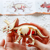 Thumbnail for DinoDig – Exciting and educational – Fossil excavation kit