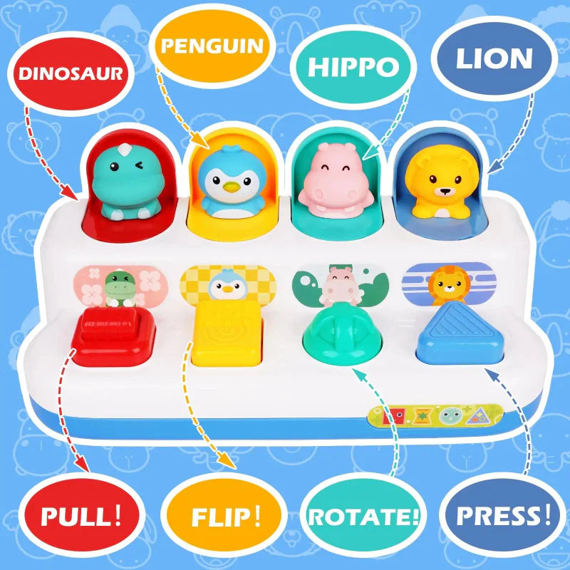 Pop Up Activity Toy – Discover & Learn – Sensory Baby Toys