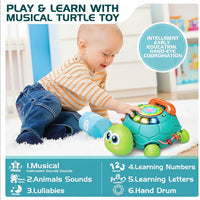 Thumbnail for SmartTurtle – Interactive & Musical - Turtle Toy with Songs