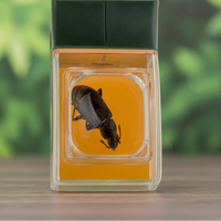 Thumbnail for Bug Catcher with Magnifier – Discover & Learn – Insect Catcher