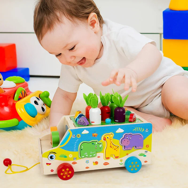 Montessori Animal Matching Toy – Educational & Interactive – Puzzle Play Car