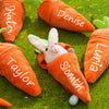 Personalized Bunny – The Ultimate Easter Gift - Plush Carrot Bunny with Name