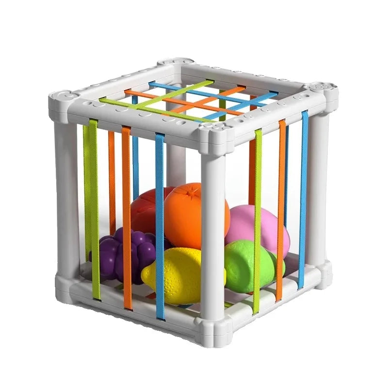 Fruit Box™ - Cut, Play, Learn - Fruit in box