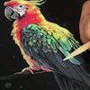 GlowArt – Glow-in-the-dark – Scratch Cards Set